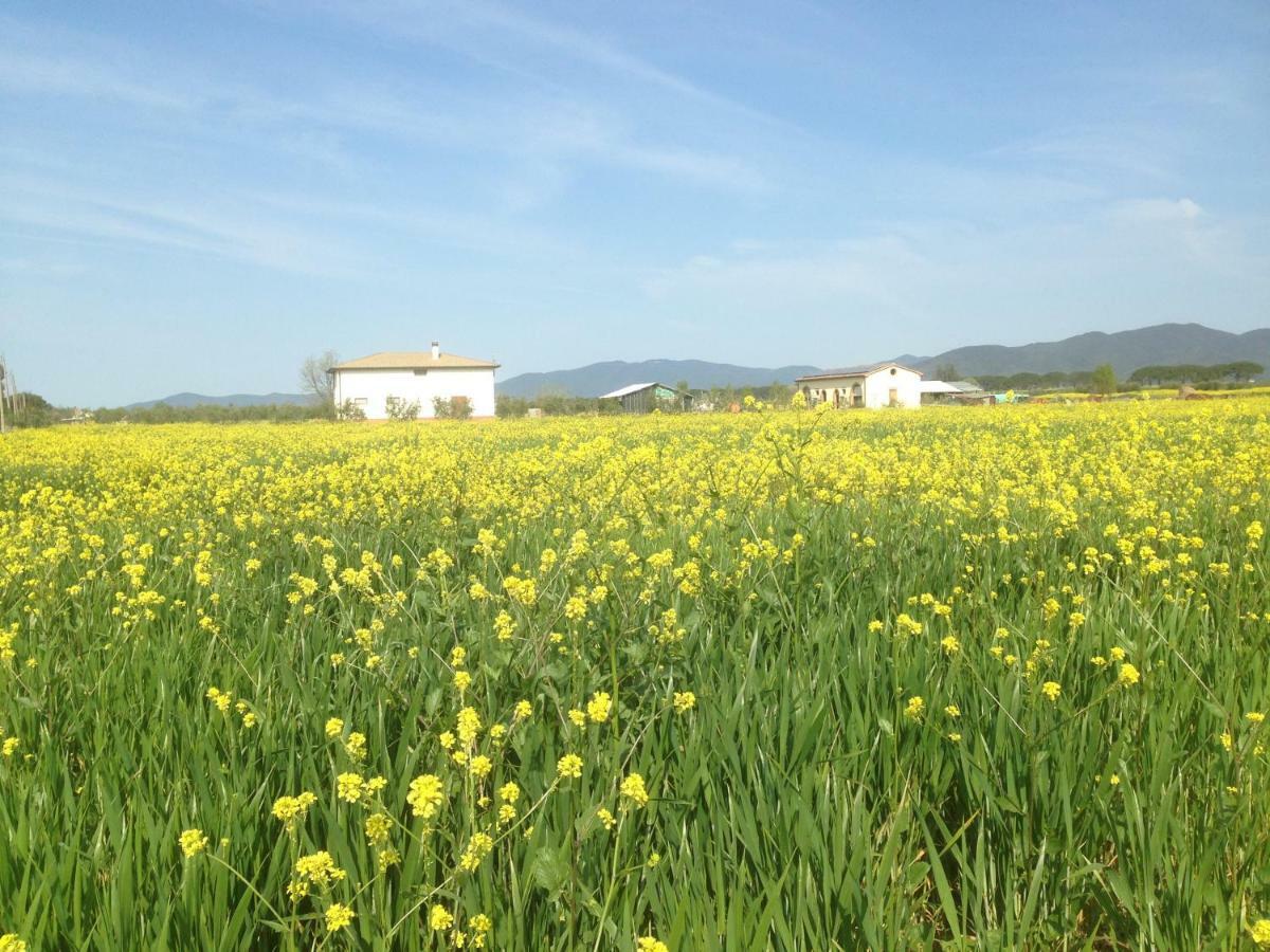 Il Grano Di Bramante Villa Marrucheto Dış mekan fotoğraf