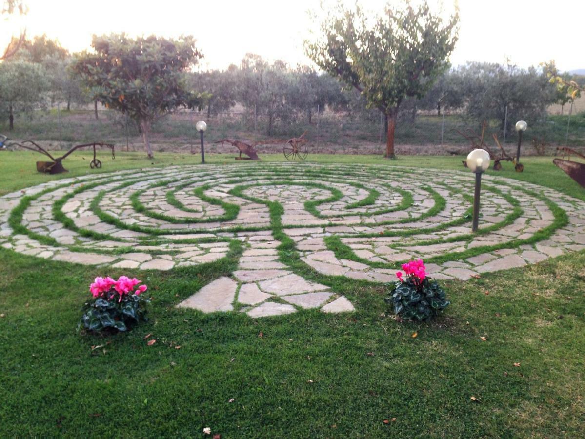 Il Grano Di Bramante Villa Marrucheto Dış mekan fotoğraf